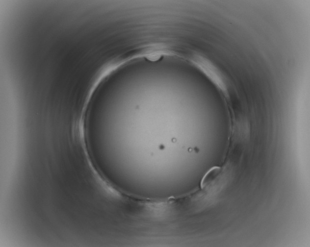 X0000114020813200910021416