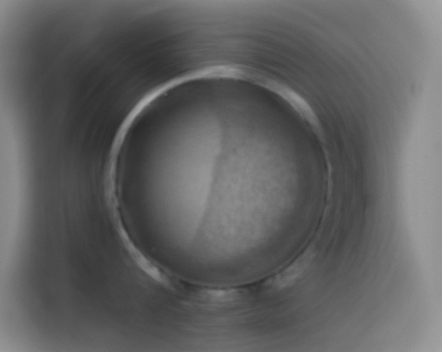 X0000114020816200910021416
