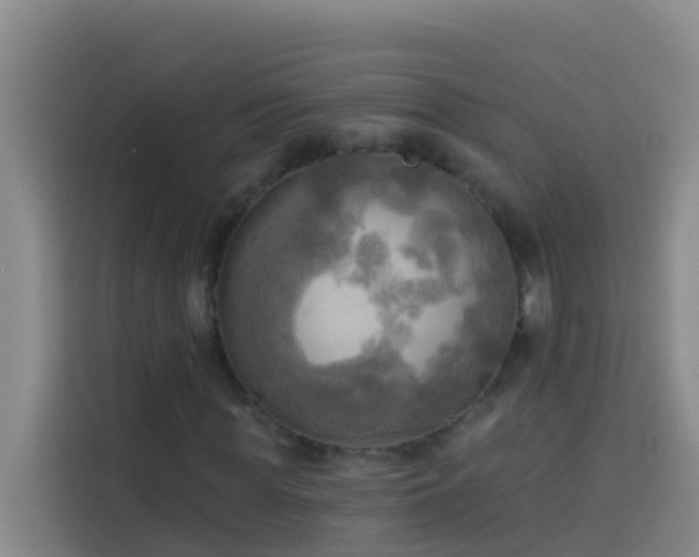 X0000114020819200910021415