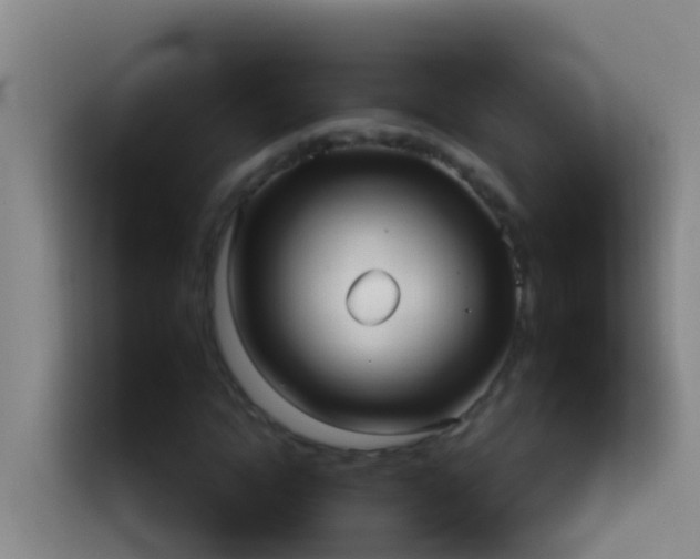 X0000114020822200910021415