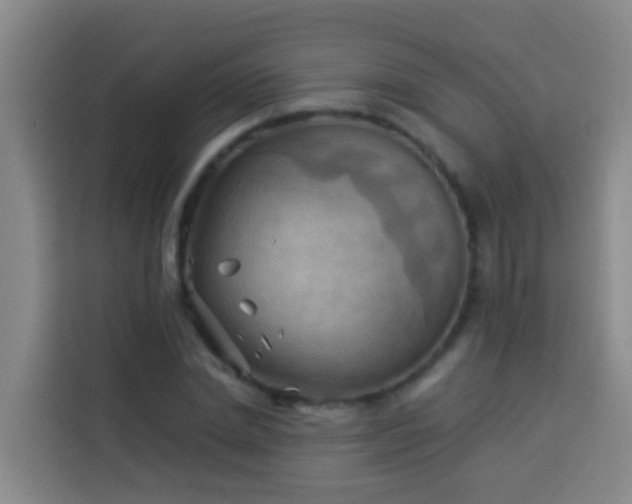 X0000114020830200910021416