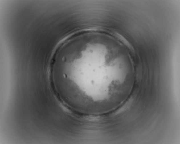 X0000114020831200910021416