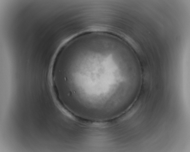 X0000114020840200910021416