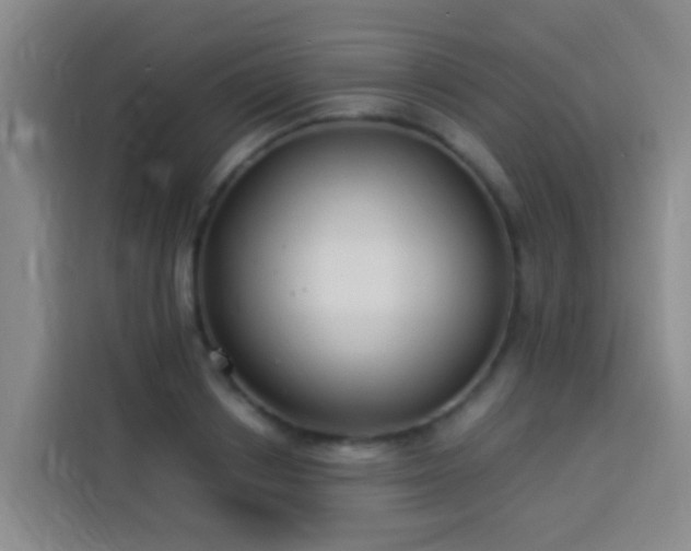 X0000114020842200910021416
