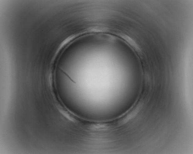 X0000114020846200910021416