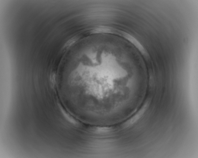 X0000114020849200910021416