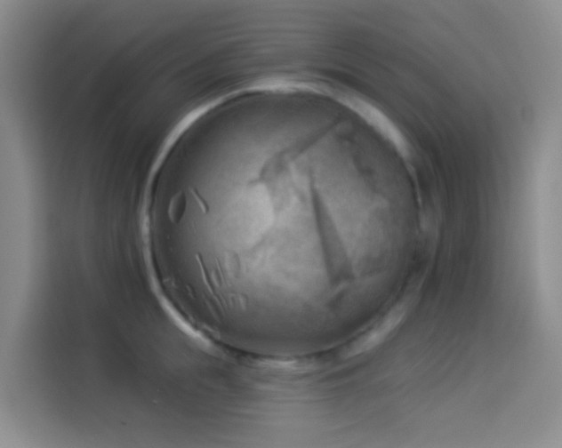X0000114020855200910021416
