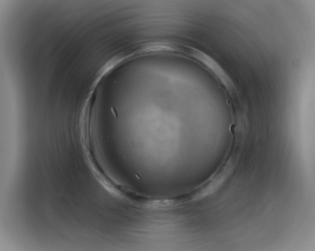 X0000114020858200910021416