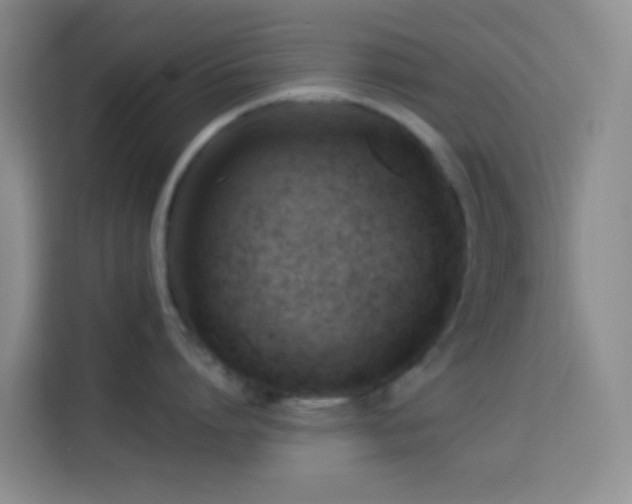 X0000114020864200910021416