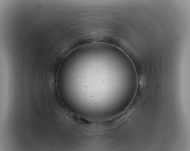X0000114020867200910021415