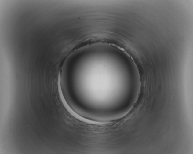 X0000114020868200910021415