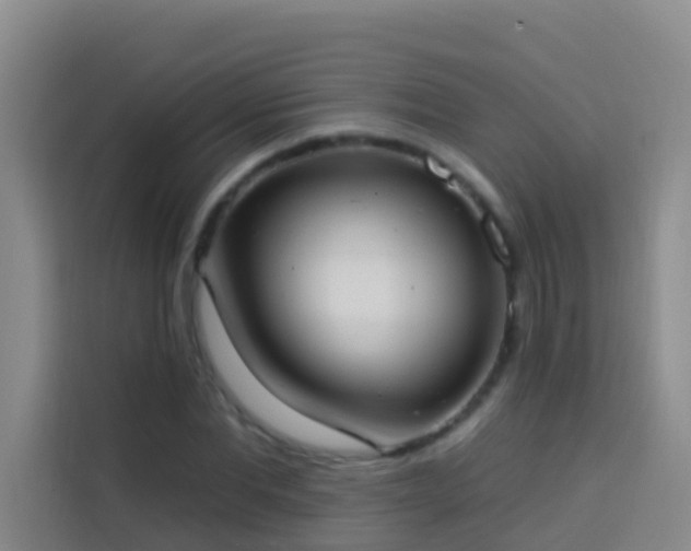 X0000114020877200910021415