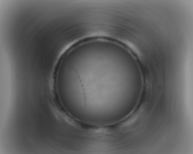 X0000114020879200910021415