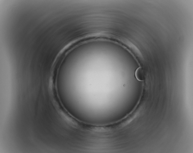 X0000114020880200910021415