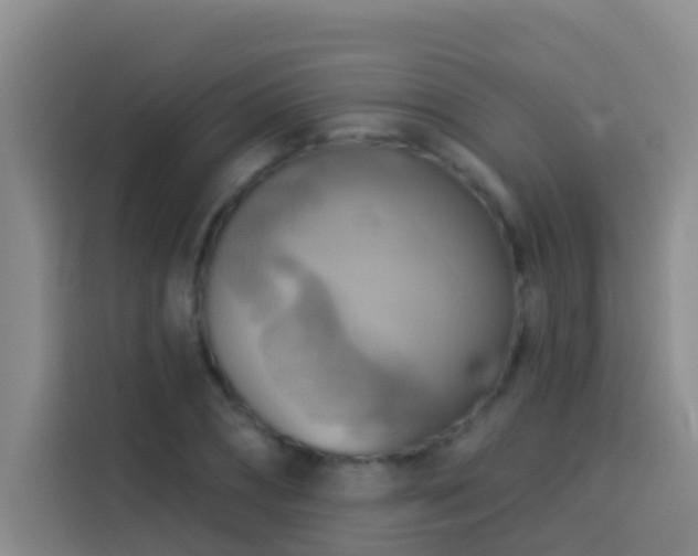 X0000114020882200910021415