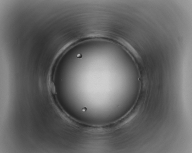 X0000114020885200910021415