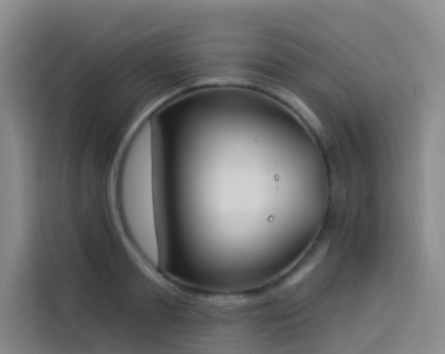 X0000114020893200910021415