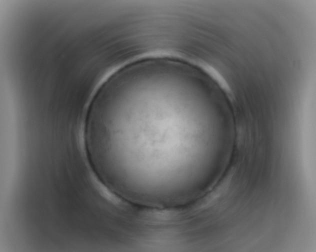 X0000114020895200910021415