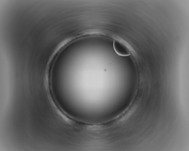 X0000114020902200910021415