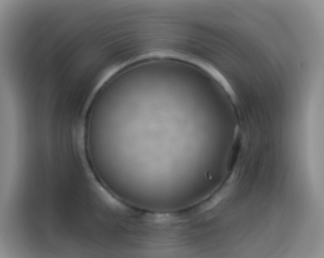X0000114020903200910021415