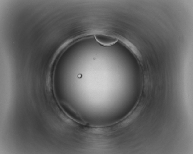 X0000114020904200910021415