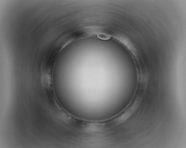 X0000114020905200910021415