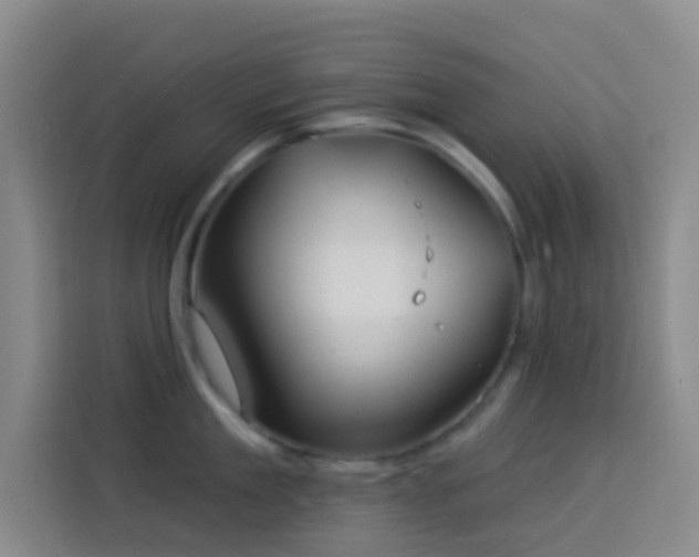 X0000114020909200910021415