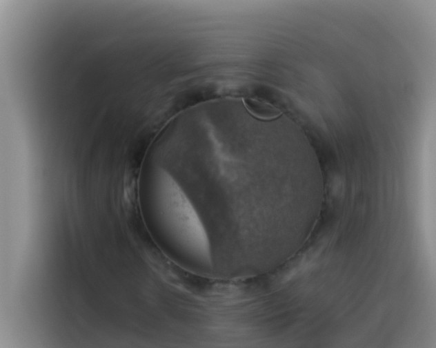 X0000114020914200910021414