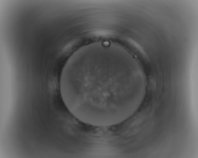 X0000114020918200910021414