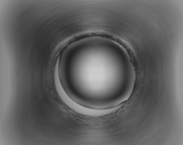 X0000114020920200910021414