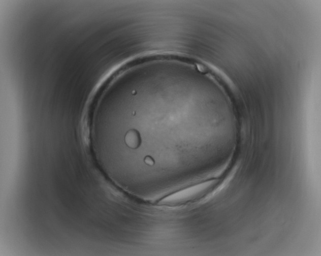 X0000114020925200910021414