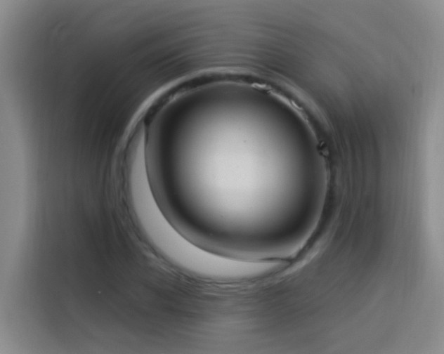 X0000114020926200910021414