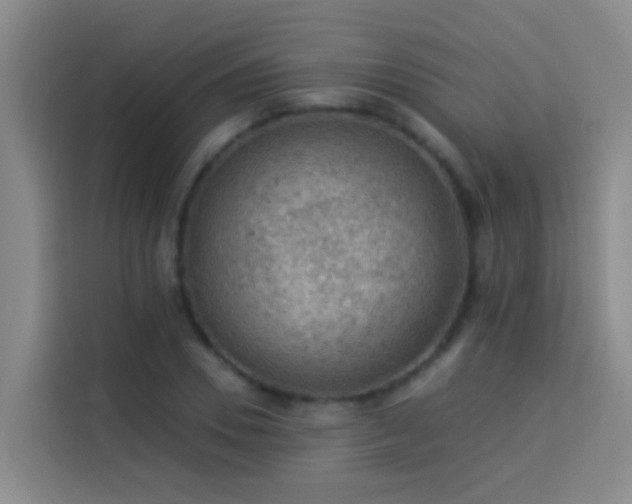 X0000114020930200910021414