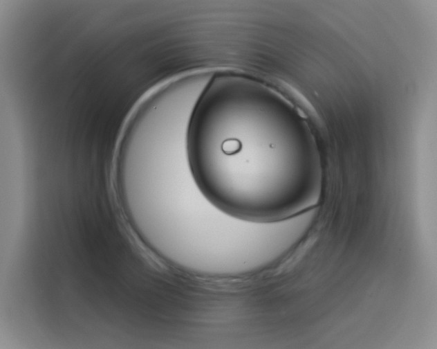 X0000114020932200910021414