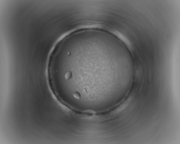 X0000114020943200910021414