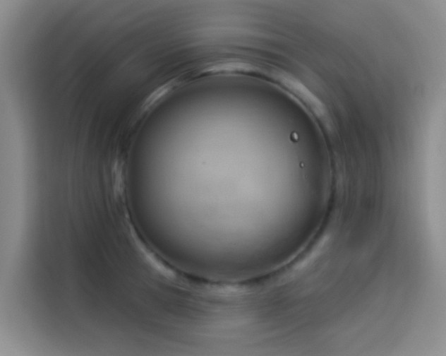 X0000114020945200910021415