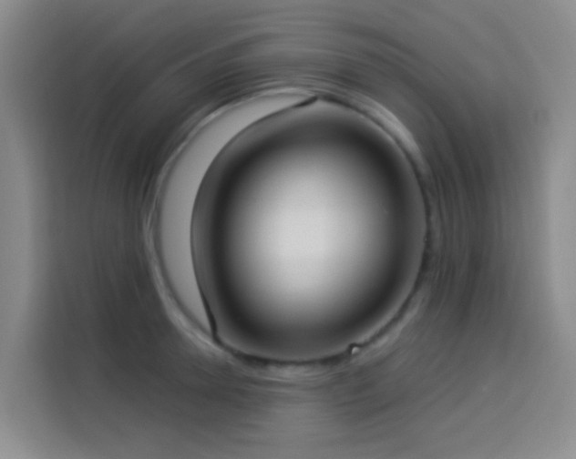 X0000114020946200910021415
