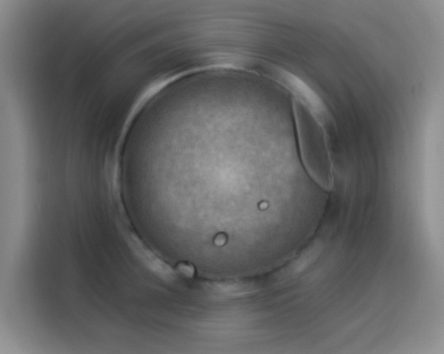 X0000114020948200910021415