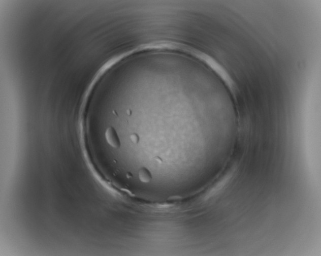 X0000114020951200910021415