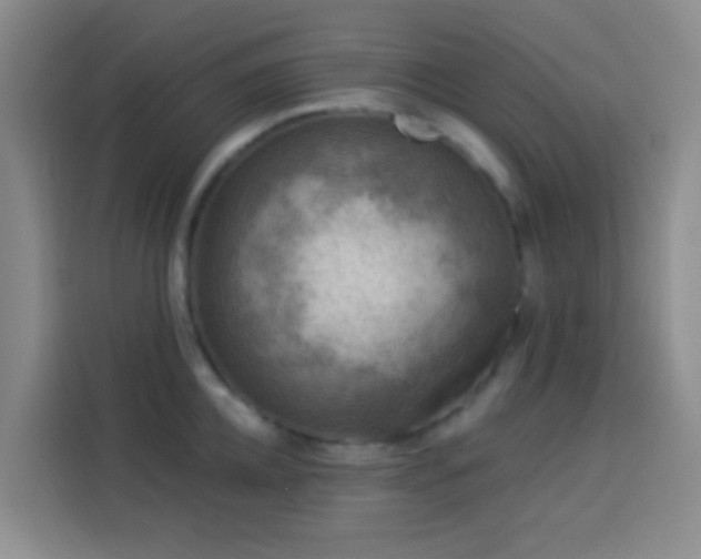 X0000114020952200910021415