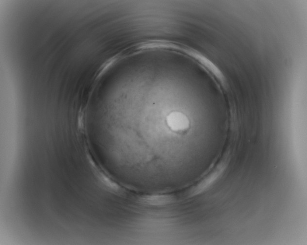 X0000114020953200910021415