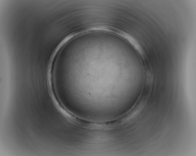 X0000114020955200910021415