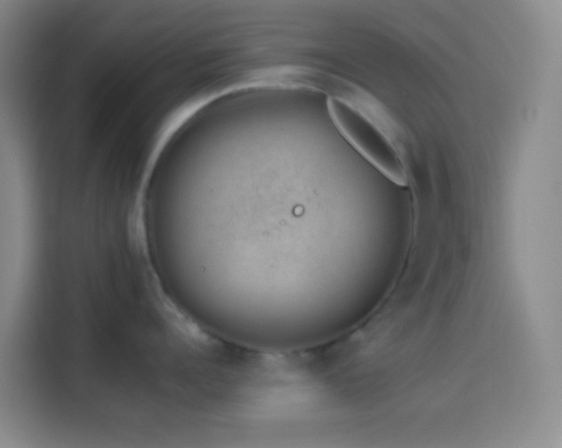 X0000114020960200910021415
