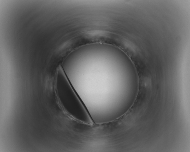 X0000114020965200910021414