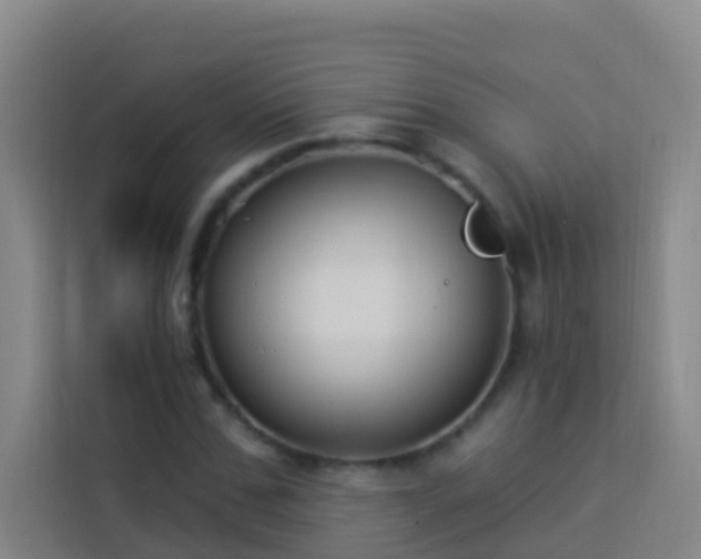 X0000114020971200910021414