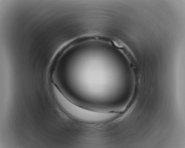 X0000114020973200910021414