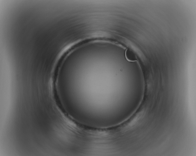 X0000114020975200910021414