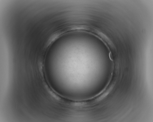 X0000114020985200910021414