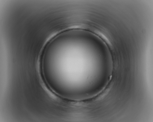 X0000114020991200910021414