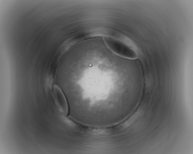 X0000114020993200910021414